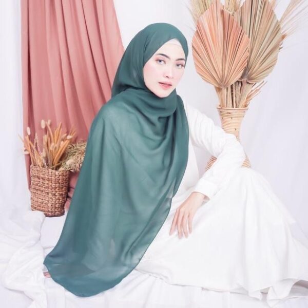 Bella Pashmina "warna part 1" - Image 4