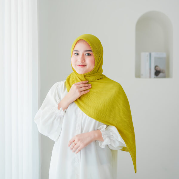 Chayra Pashmina Plisket "Part 2" - Image 6