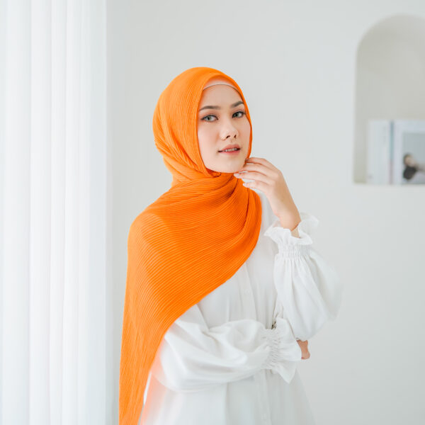 Chayra Pashmina Plisket "Part 2" - Image 13