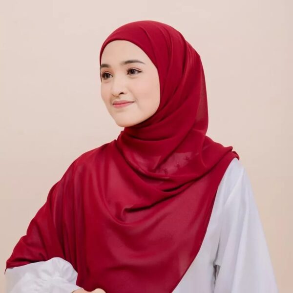 Elisha Pashmina Inner - Image 11