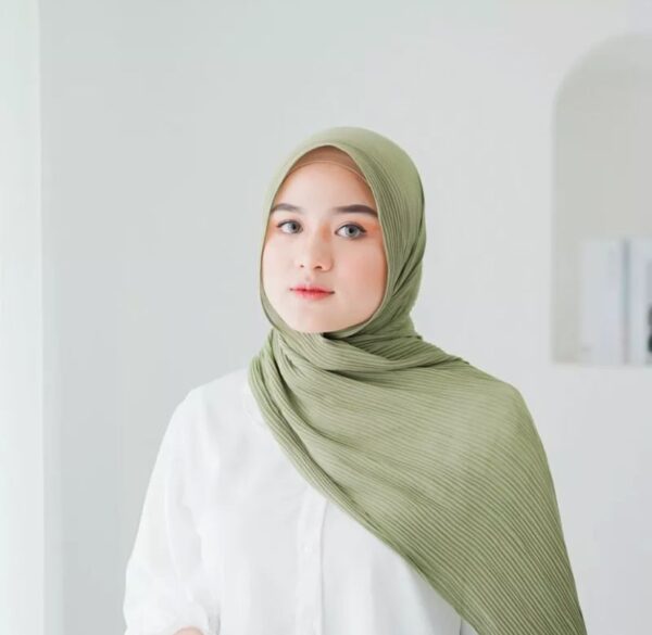 Chayra Pashmina Plisket “Part 3” - Image 8