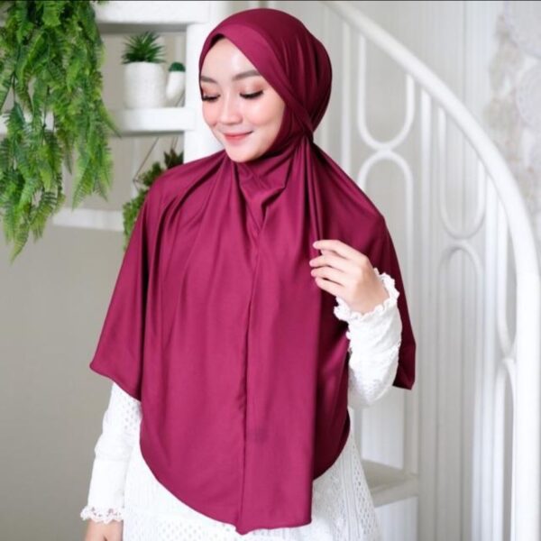 Radya Bergo 2in1 - Image 6