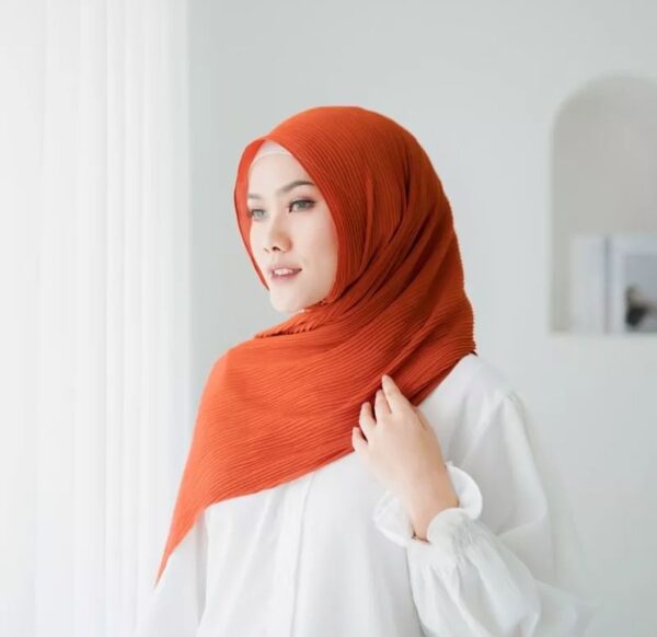 Chayra Pashmina Plisket “Part 3” - Image 7
