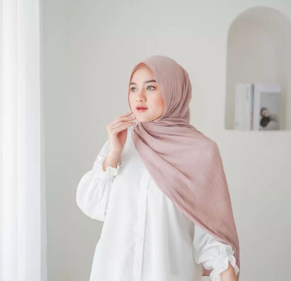 Chayra Pashmina Plisket “Part 3”
