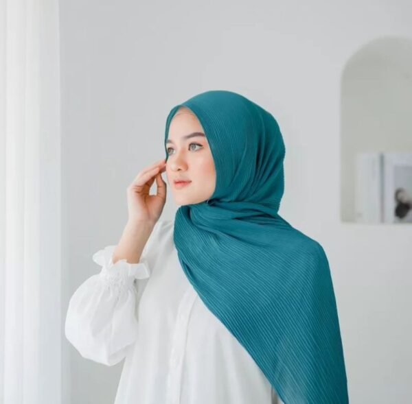 Chayra Pashmina Plisket “Part 3” - Image 5
