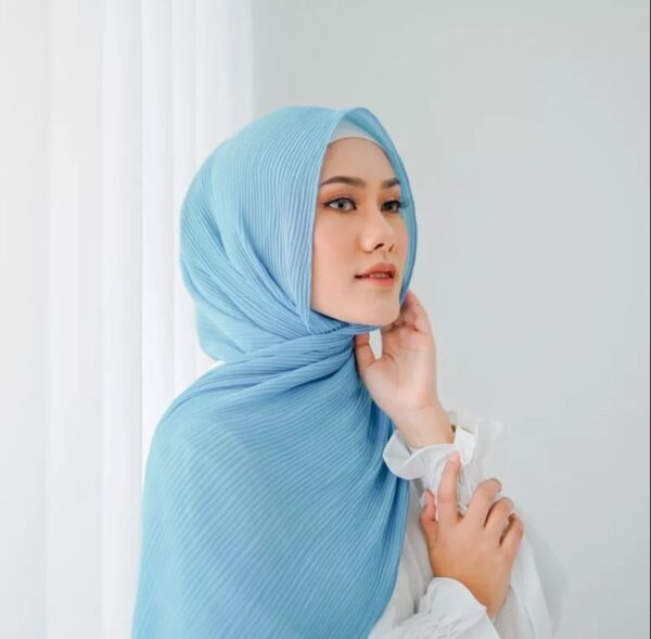 Chayra Pashmina Plisket “Part 3” - Image 4