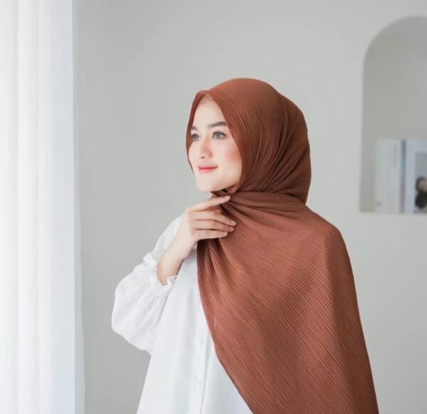 Chayra Pashmina Plisket “Part 3” - Image 2